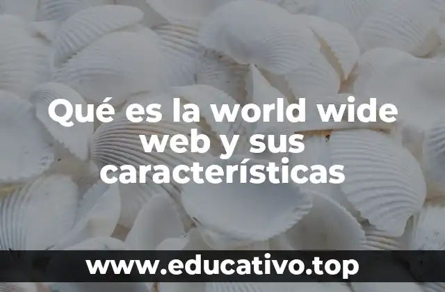 Qué es la world wide web y sus características