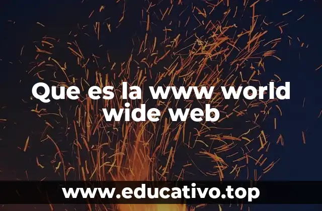 Que es la www world wide web
