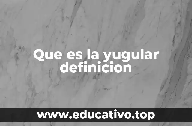 Que es la yugular definicion