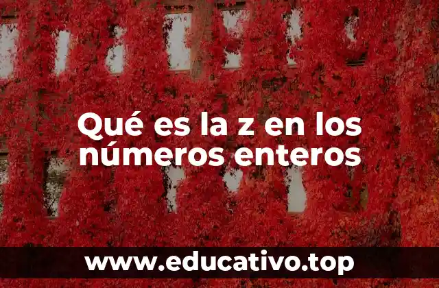 Qué es la z en los números enteros