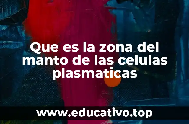 Que es la zona del manto de las celulas plasmaticas
