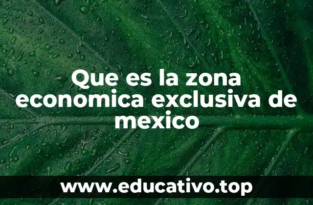 Que es la zona economica exclusiva de mexico