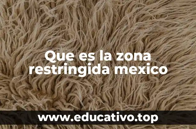 Tipos de zonas restringidas en el territorio mexicano