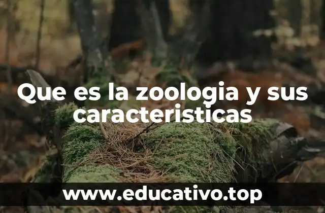 Que es la zoologia y sus caracteristicas