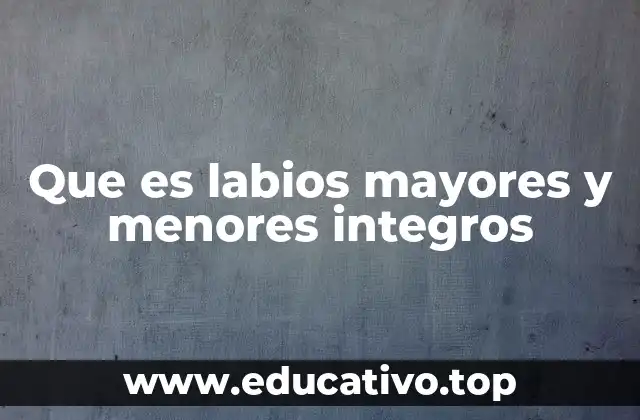 Que es labios mayores y menores integros