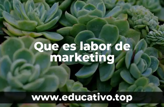 El papel del marketing en el desarrollo empresarial