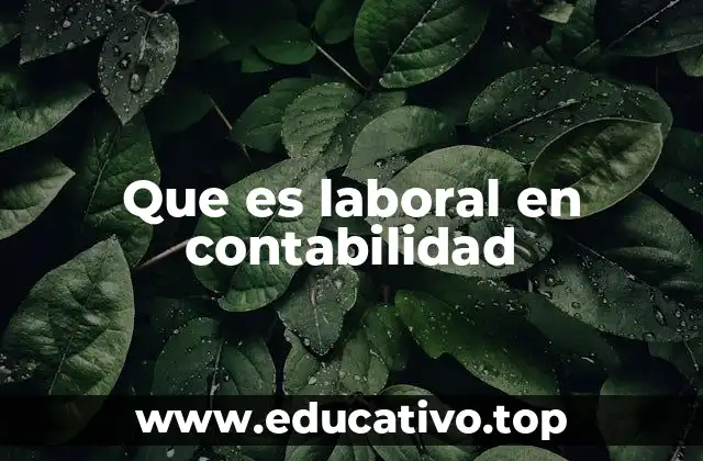 Que es laboral en contabilidad
