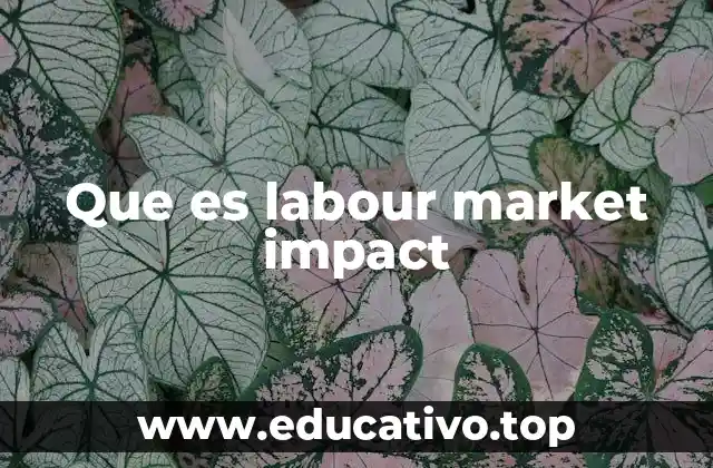 Que es labour market impact