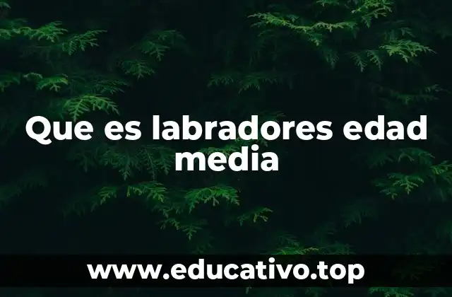 Que es labradores edad media