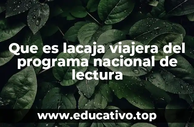 Que es lacaja viajera del programa nacional de lectura