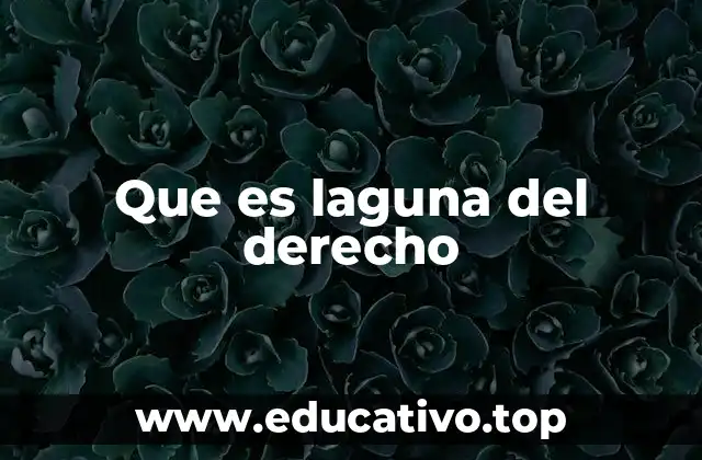 Que es laguna del derecho
