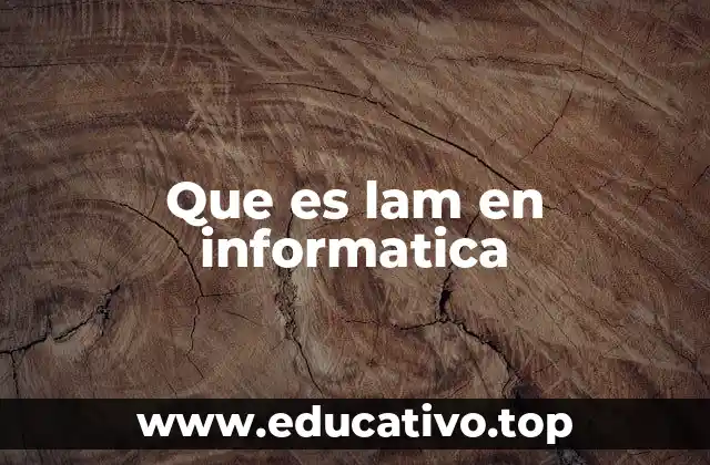 Que es lam en informatica