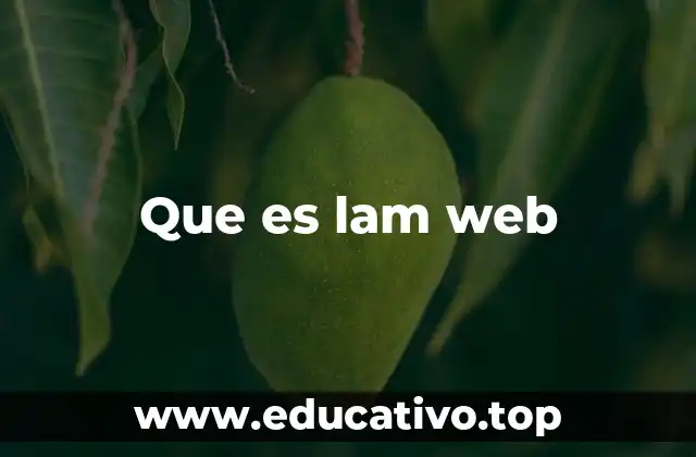 Que es lam web