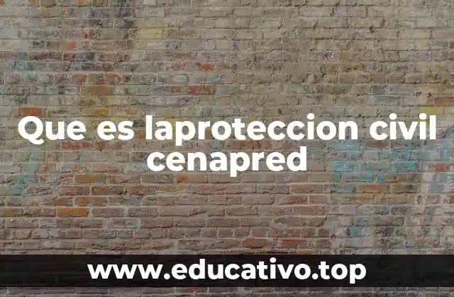 El papel del CENAPRED en la gestión de riesgos