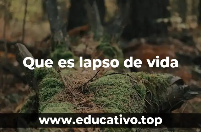 Que es lapso de vida