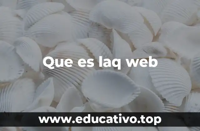 La Web: más que un medio de información