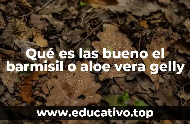 Qué es las bueno el barmisil o aloe vera gelly