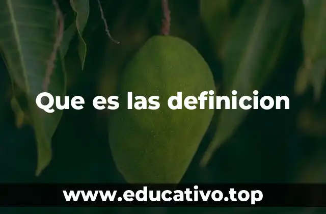 Que es las definicion