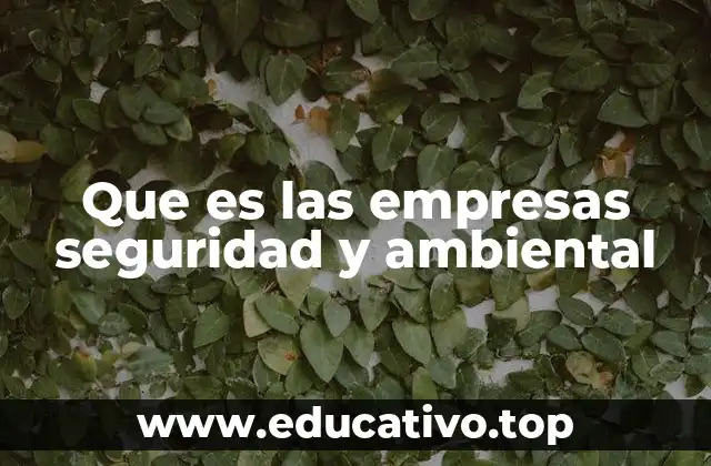 Que es las empresas seguridad y ambiental