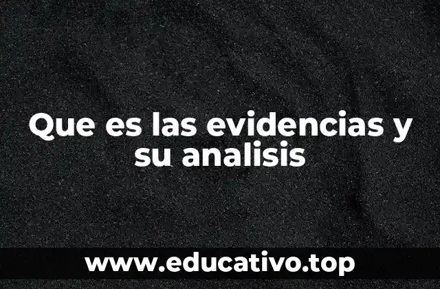 Que es las evidencias y su analisis