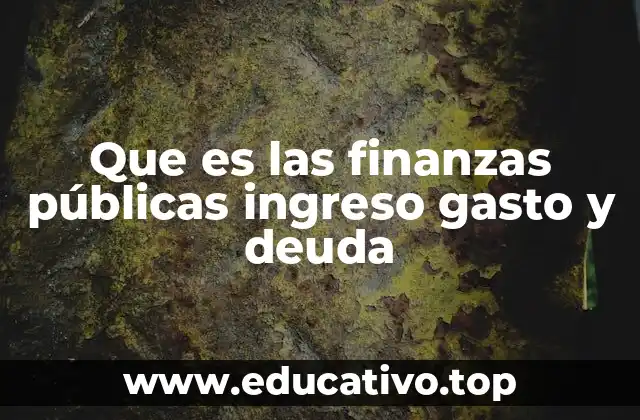Que es las finanzas públicas ingreso gasto y deuda