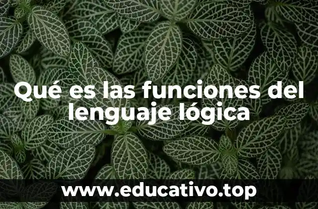 Qué es las funciones del lenguaje lógica