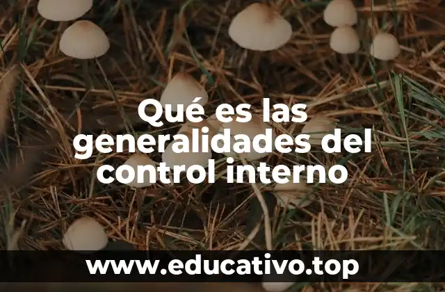Qué es las generalidades del control interno