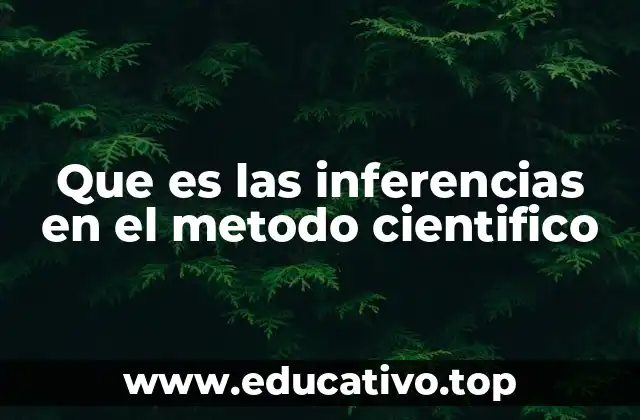 Que es las inferencias en el metodo cientifico