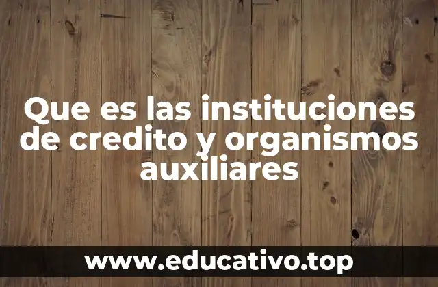 Que es las instituciones de credito y organismos auxiliares