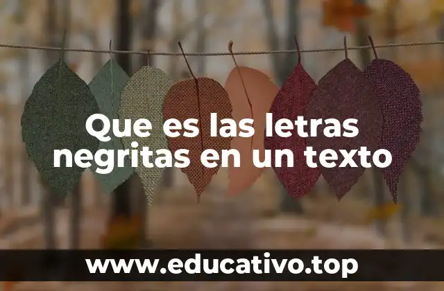 Que es las letras negritas en un texto
