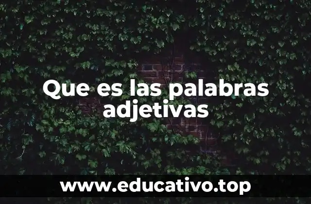 Que es las palabras adjetivas