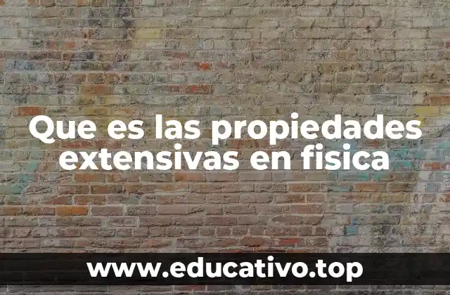 Que es las propiedades extensivas en fisica