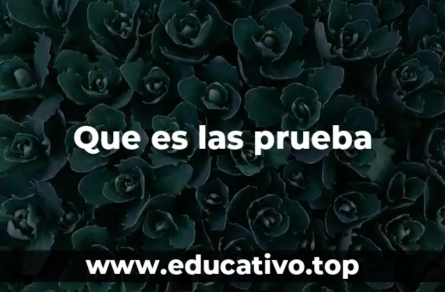 Que es las prueba