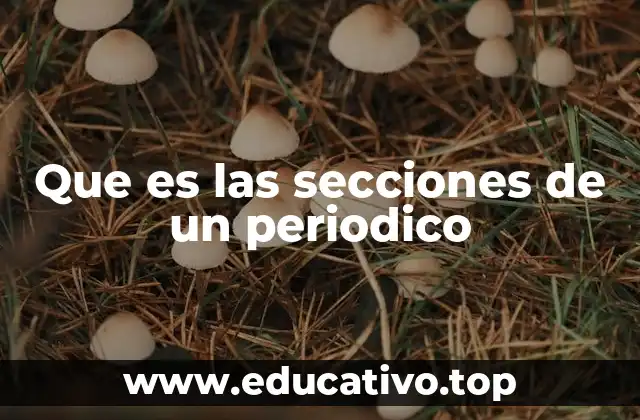 Que es las secciones de un periodico