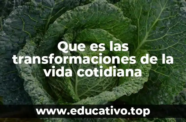 Que es las transformaciones de la vida cotidiana