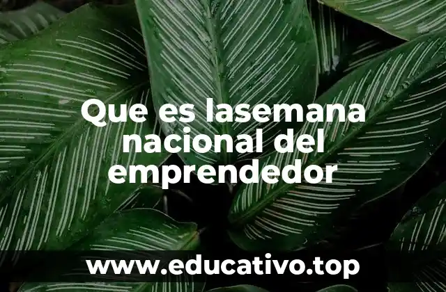 Que es lasemana nacional del emprendedor