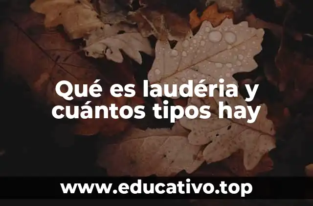 Qué es laudéria y cuántos tipos hay