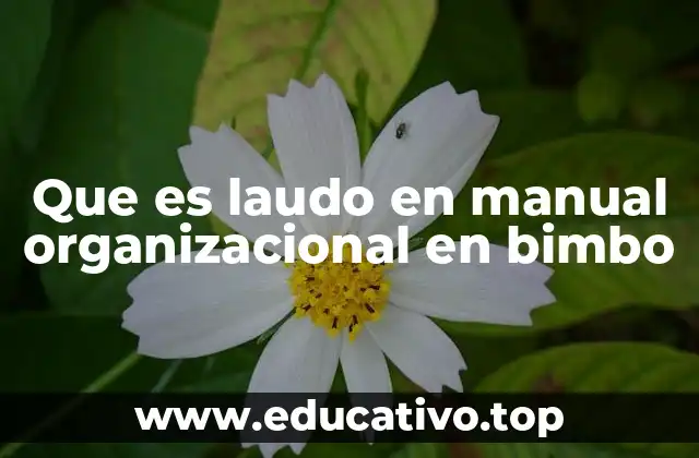 El rol del laudo en la estructura interna de Bimbo