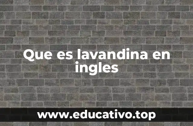 Que es lavandina en ingles