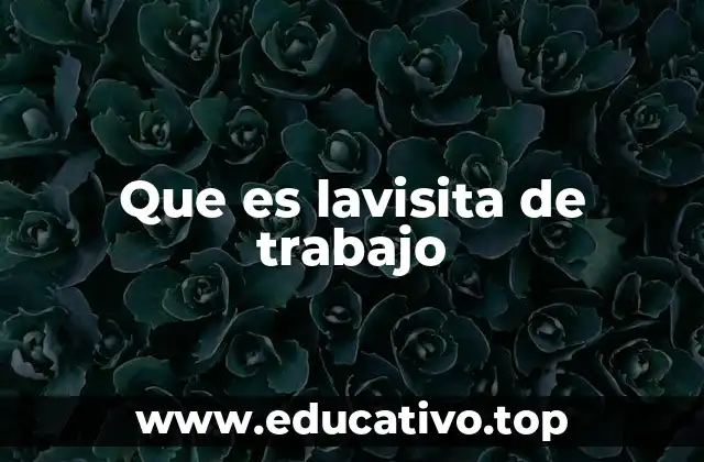 La importancia de las visitas laborales en el entorno empresarial
