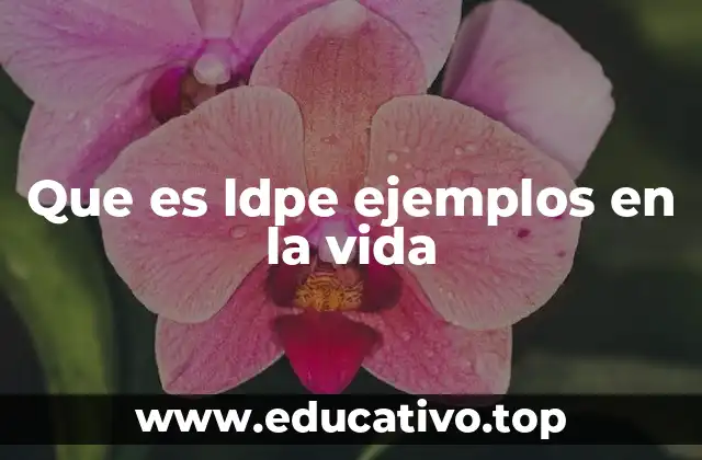 Que es ldpe ejemplos en la vida