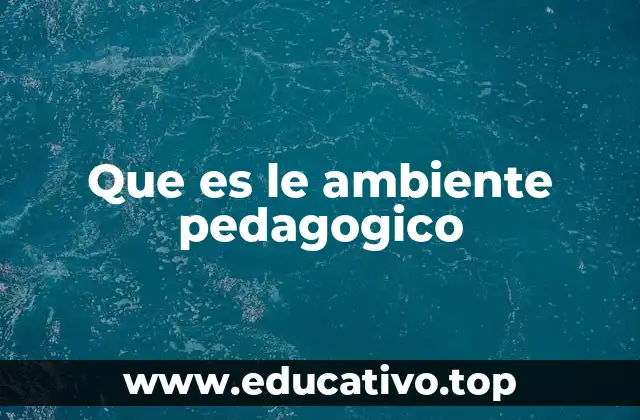 La importancia del entorno en la formación educativa