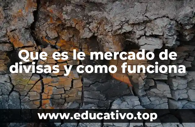 Que es le mercado de divisas y como funciona