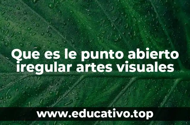 Que es le punto abierto iregular artes visuales