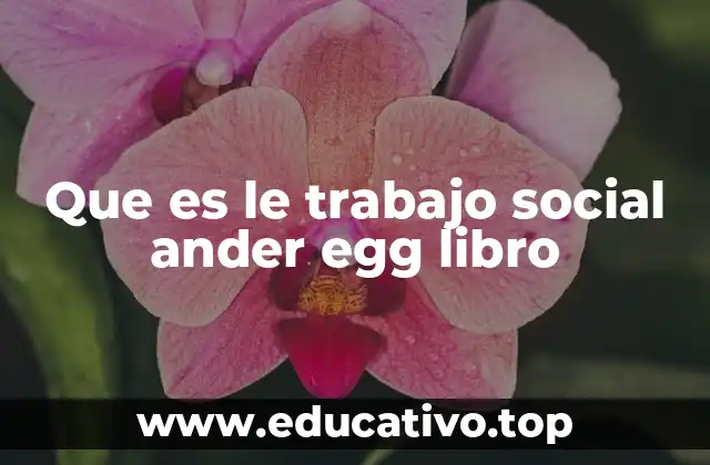 Que es le trabajo social ander egg libro