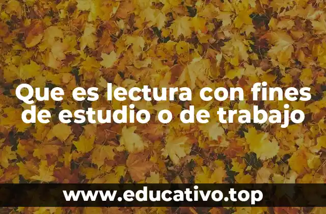 Que es lectura con fines de estudio o de trabajo