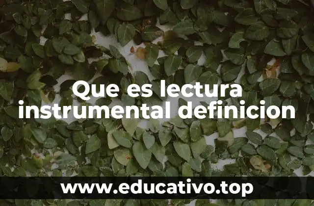 Que es lectura instrumental definicion