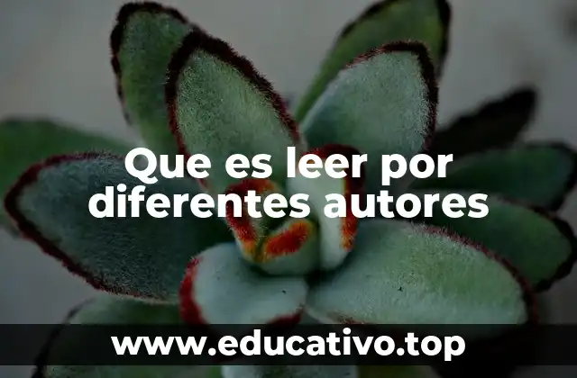 Que es leer por diferentes autores
