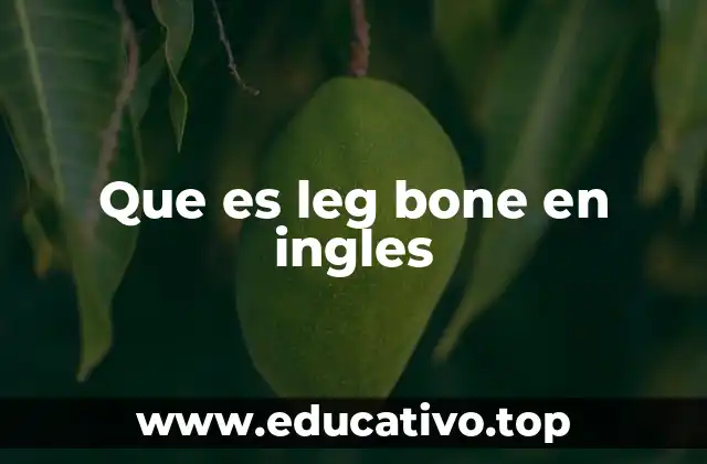 Que es leg bone en ingles