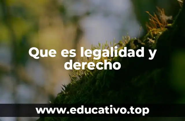 ¿Cómo están interrelacionados la legalidad y el derecho?